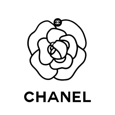 chanel camellia flower line drawing